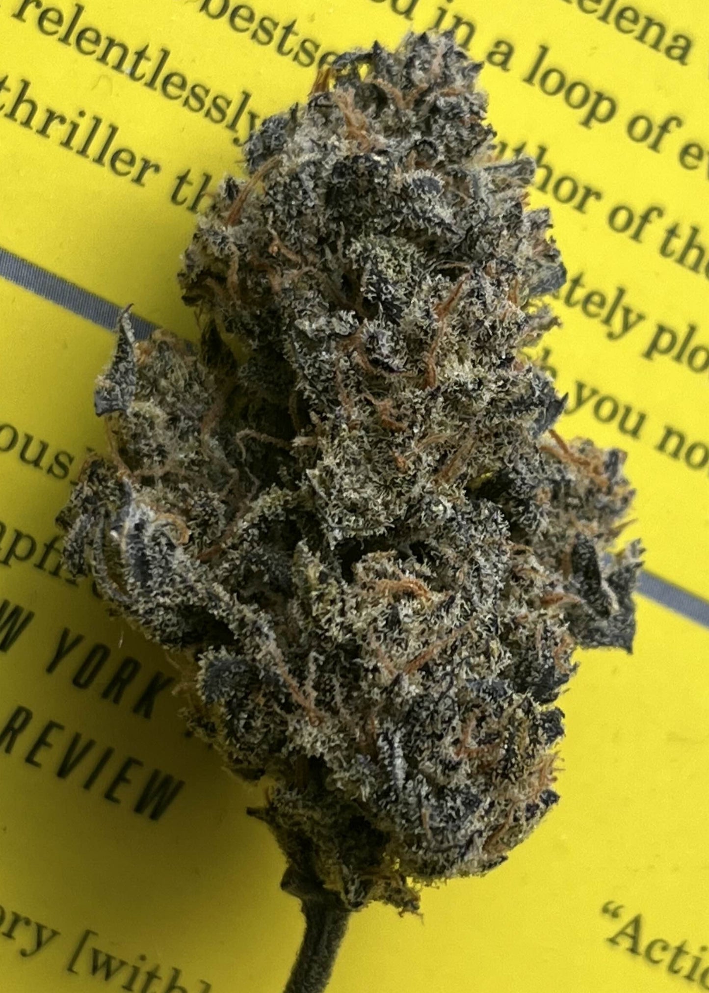 Blueberry Slushy F6