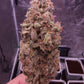 (White Crack x Marathon OG)