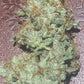 (Grape Grogu x Marathon OG)