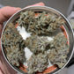 (Blueberry Slushy F5 x Osage #3) Auto Reg