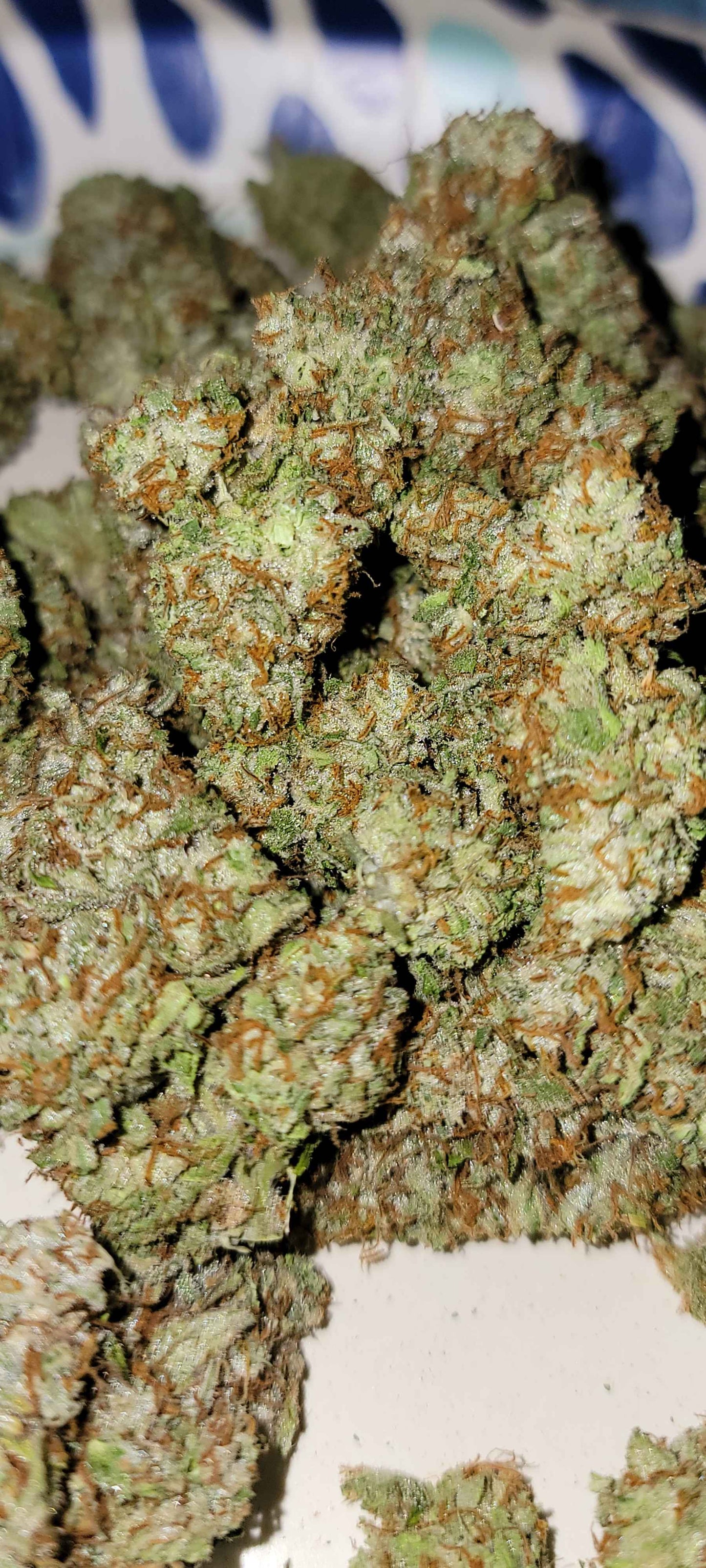 Grape Pez F2