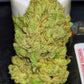 (Blueberry Xochi x Strawberry OG Auto F3)