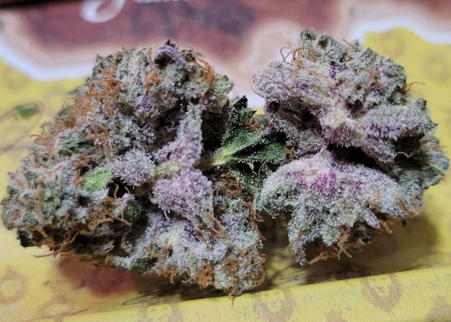 Grape Pez F2